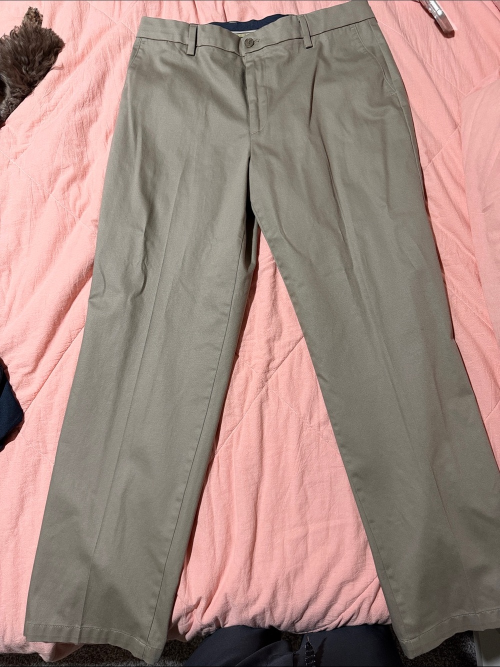 Dockers Men's Chinos in Olive